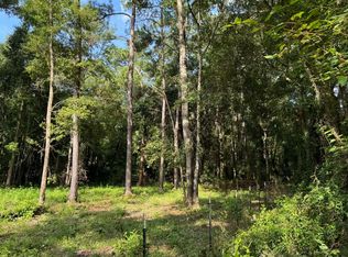 818 SW Churchill Way, Lake City, FL 32025