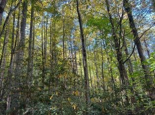 1 Tusquittee St, Hayesville, NC 28904