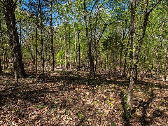 3rd image of 10124 Kelemen Farms