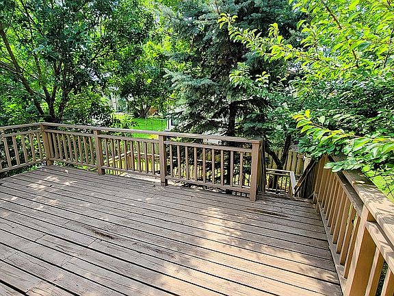 4th image of 2319 Driftwood Ln