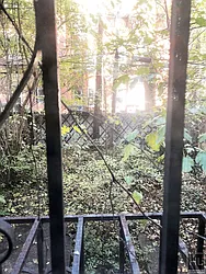 Rented by Highline Residential