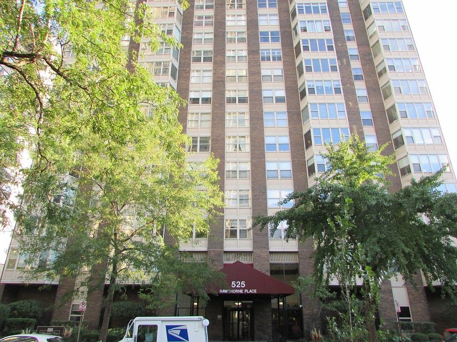 1st image of 525 W Hawthorne Pl APT 3101