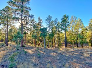 2946 Constellation Ln, Overgaard, AZ 85933