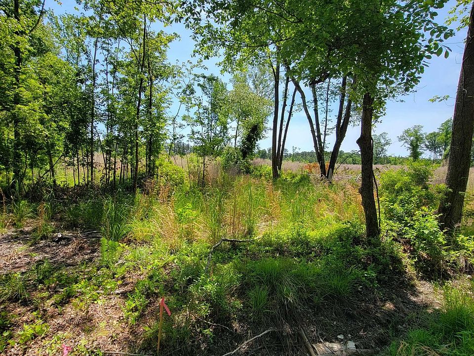 2nd image of Tract A Herbert Rd.