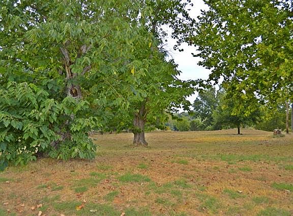 2nd image of 8028 N State Highway 78