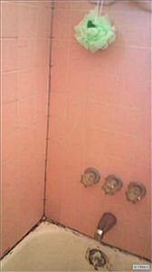 4th image of 4244 Inglewood Blvd