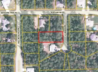 4 Kathryn Ct, Palm Coast, FL 32164