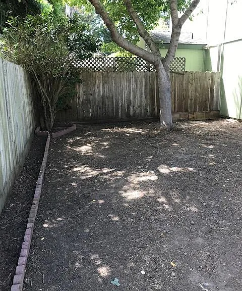 Fenced Yard