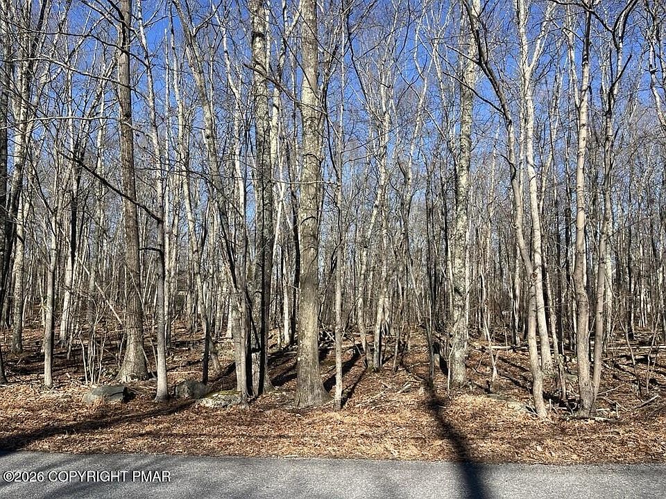 1st image of LOT 21 Pocono Forested Dr