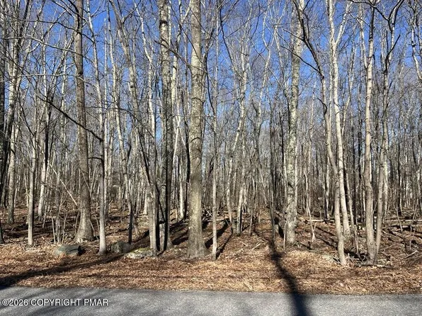 LOT 21 Pocono Forested Dr, East Stroudsburg, PA 18302
