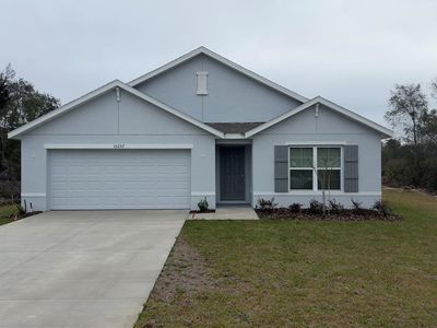 16257 SW 21st Ct, Ocala, FL, 34473