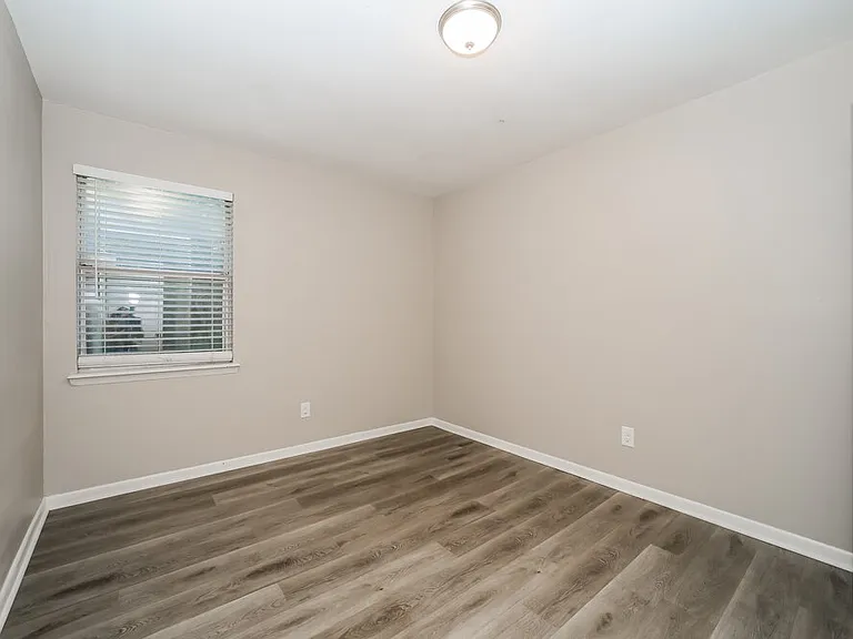 4782 Cinnamon Fern Dr — Photo 11