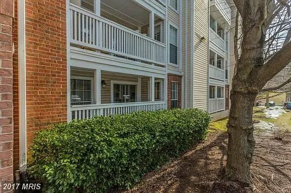 1 bed, 800 sqft, $2,000 — Photo 3