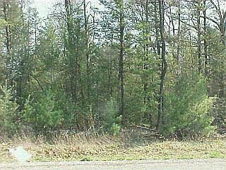 1st image of Timbertrail Dr