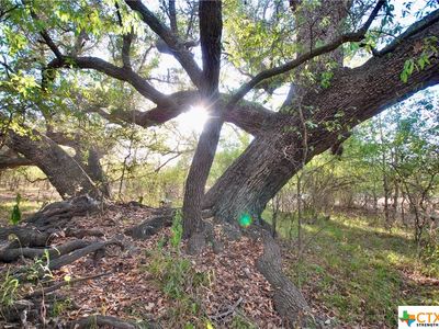 641 Armstrong Rd, Waelder, TX, 78959