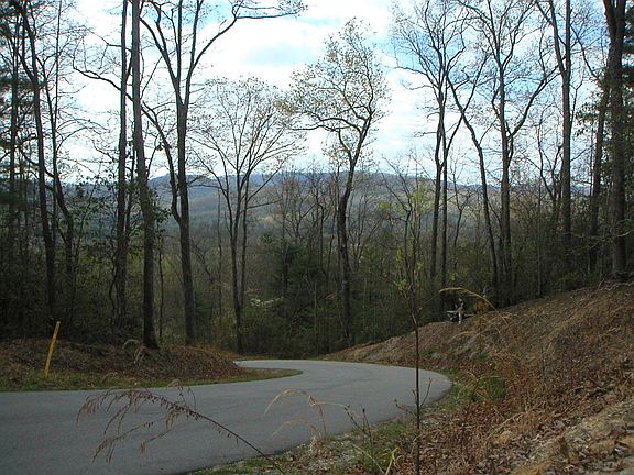 4th image of 2109 Deep Woods Dr