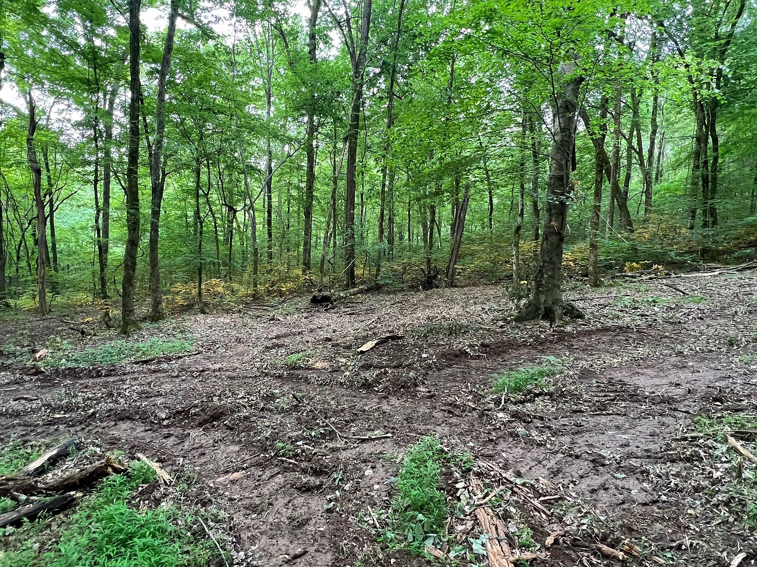 1360 Case Rd, Prospect, TN 38477 MLS 2528596 Zillow