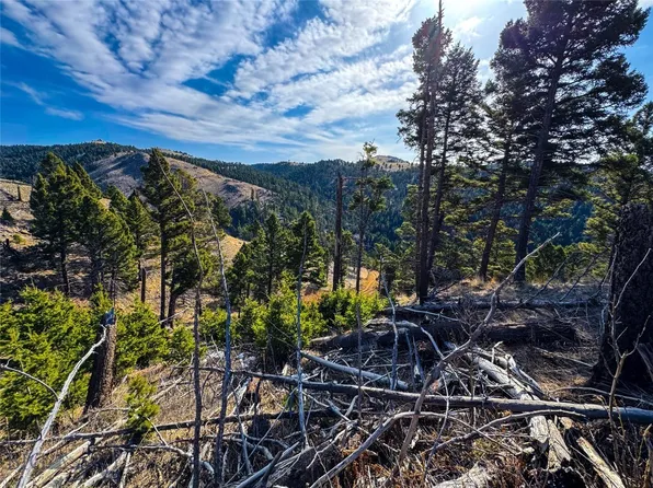 312/AC High Ore Rd, Boulder, MT 59632