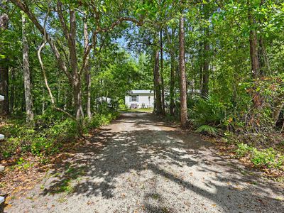 9700 W Deep Creek Blvd, Hastings, FL, 32145