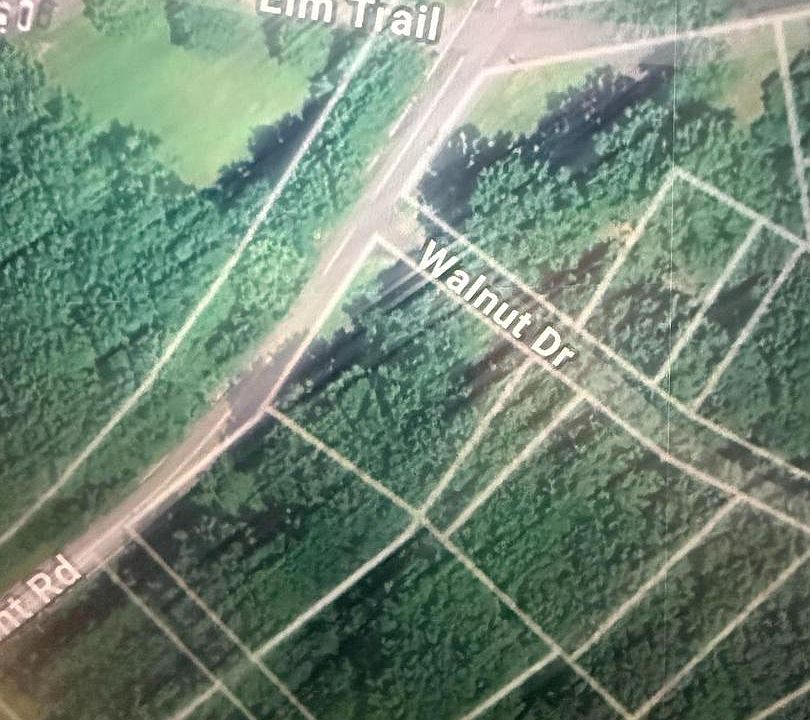 1st image of Walnut Dr