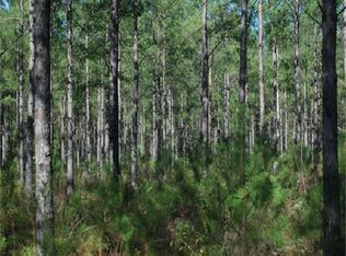 Henry Way, Greenwood, FL 32443