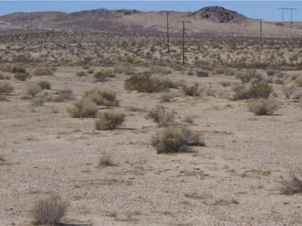 0 Mannix Rd, Newberry Springs, CA 92365