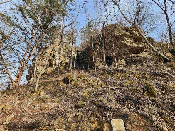 24.61 Ac Chadwick hollow Road, La Farge, WI 54639