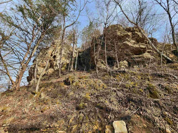 24.61 Ac Chadwick hollow Road, La Farge, WI 54639