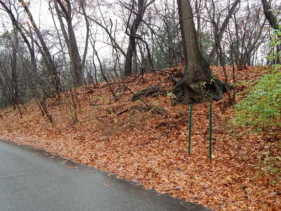 5th image of Hillside Trl