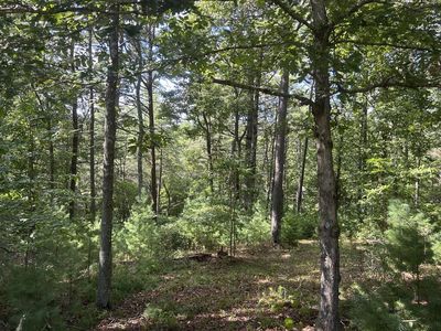 LOT 63 Harmony Way, Morganton, GA, 30560