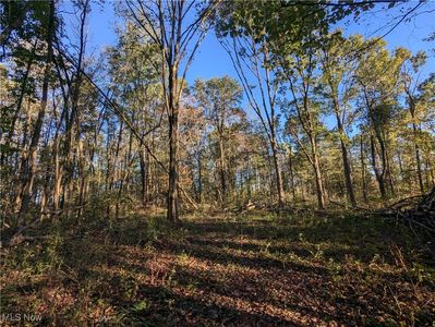 Forbes Rd, Wellsville, OH, 43968