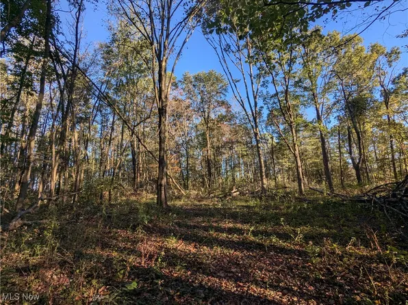 Forbes Rd, Wellsville, OH 43968