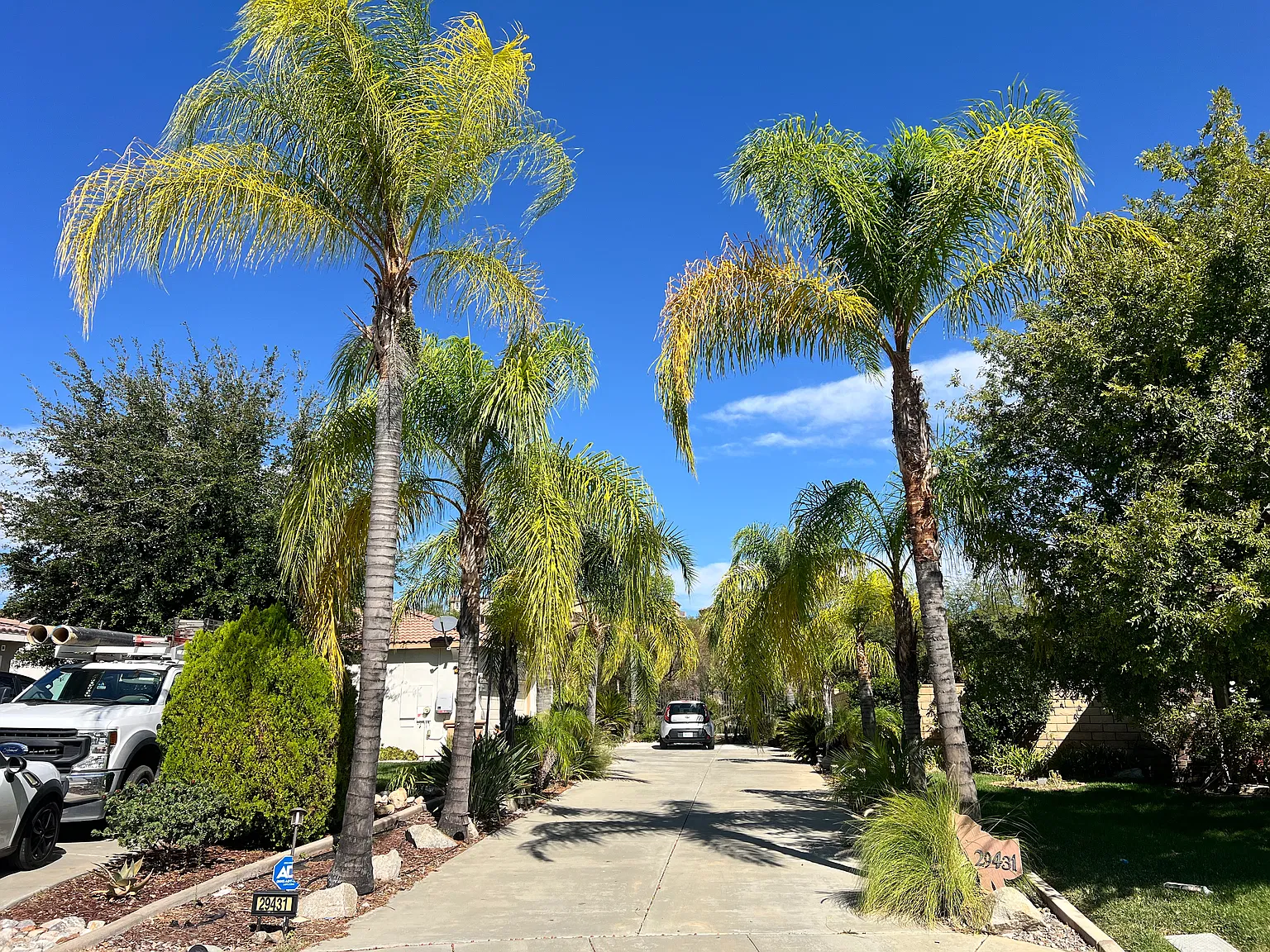 2 bed, 900 sqft, $1,950 — Photo 2