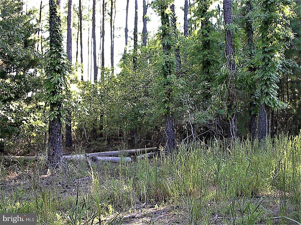 2nd image of 4433 Hall Road