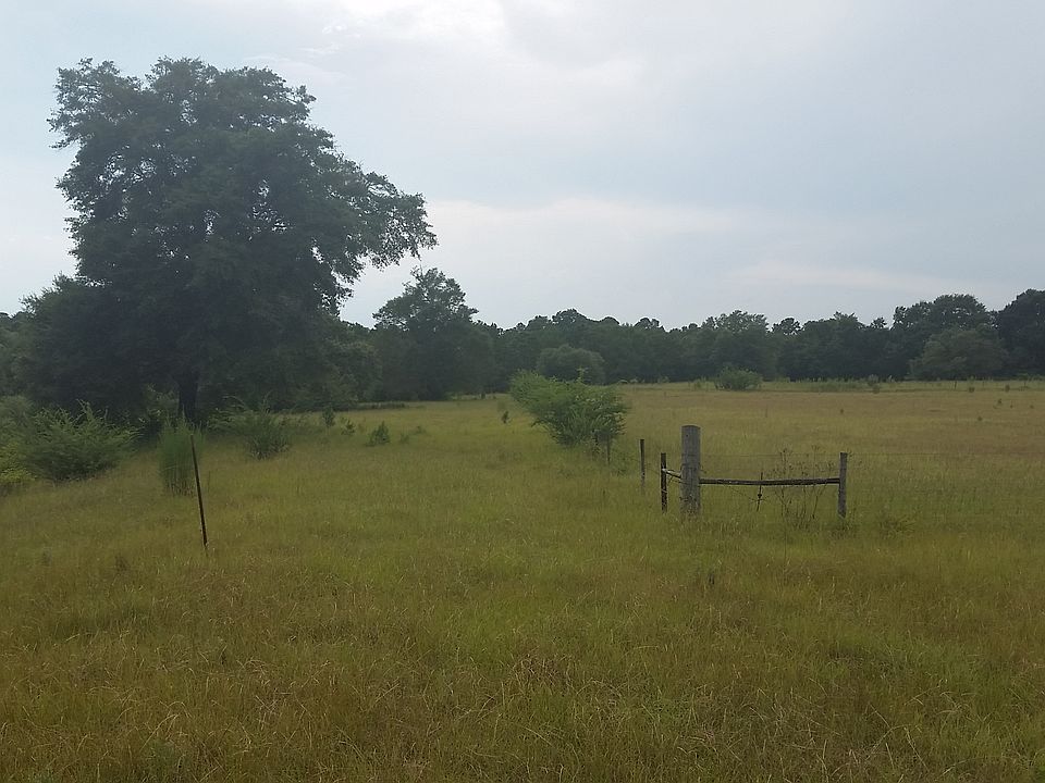2nd image of Early Walden Road