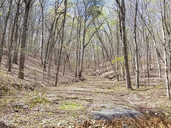 2nd image of 843 Spruce Willow & Maple