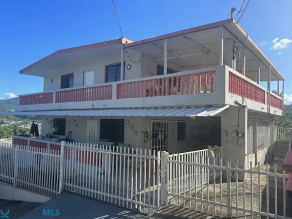 0 Cornalina #367, Caguas, PR 00725