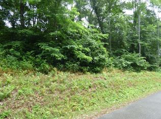 LOT 1134 Mountain View Ln, White Pine, TN 37890