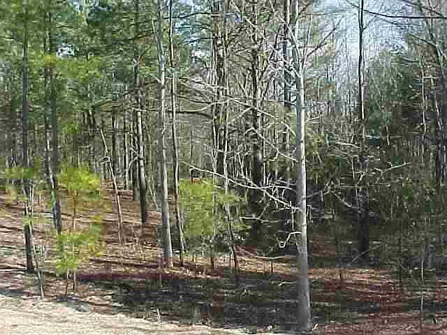 2nd image of TBD Pineywood Church Road