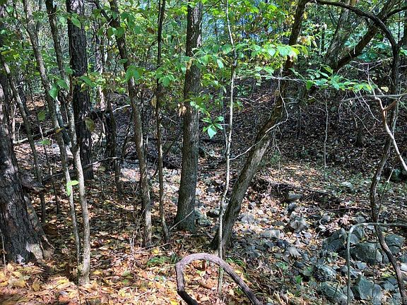 4th image of TRACT 1 Thompson Creek Ln