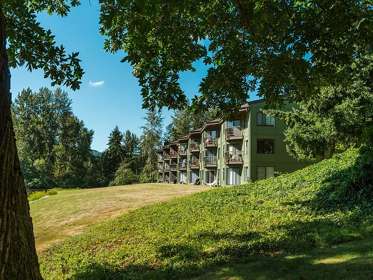 Grounds