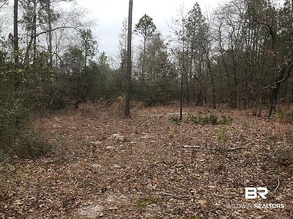 2nd image of 5332 Lambert Cemetery Rd