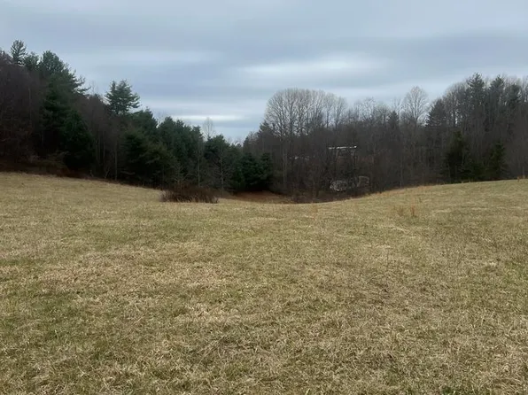 299 Red Ford Rd SW, Meadows Of Dan, VA 24120