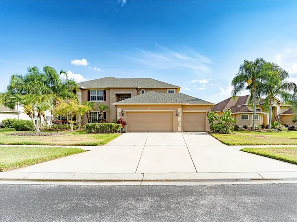 26742 Shoregrass Dr, Wesley Chapel, FL 33544