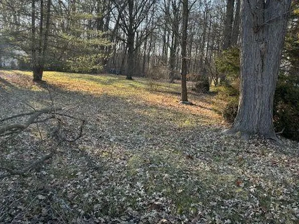 21507 SE Randall St, Farmington, MI 48336