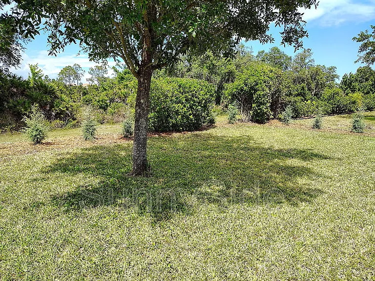 1047 Oak Bluff Dr — Photo 40