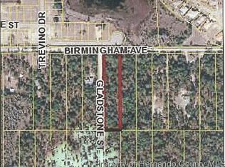 9194 Birmingham Ave, Brooksville, FL 34613