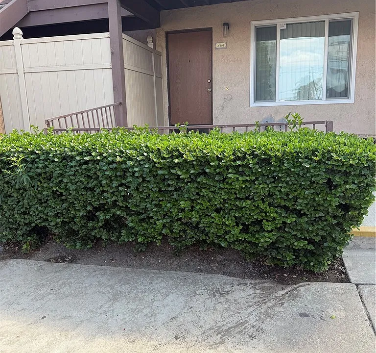990 Margarita Dr