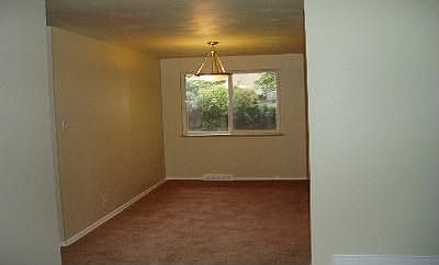 New carpet & paint