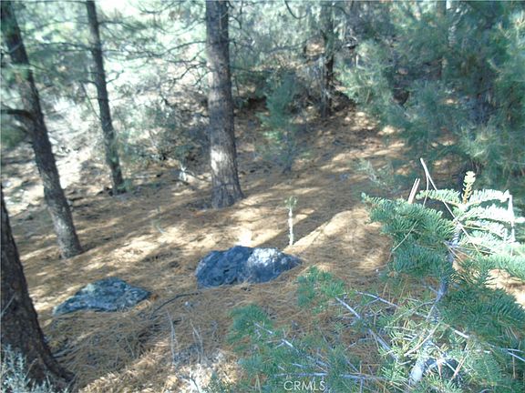 4th image of 1420 Linden Dr #65